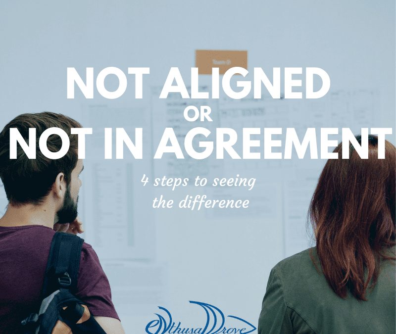 Not Aligned or Not In Agreement? 4 Steps to Seeing the Difference