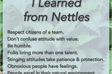 Seven Lessons about Leading Teams I Learned from Nettles