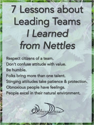 Leading Teams Lessons from Nettles
