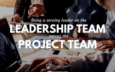 A Serving Leader: Balancing The Role In Leadership Teams & Project Teams